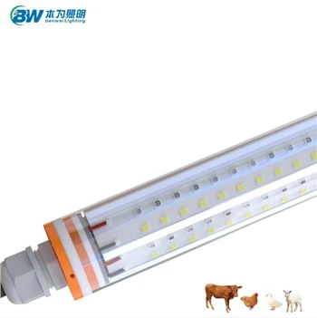 Egwyddor luminous y lamp arbennig ar gyfer cwt cyw iâr