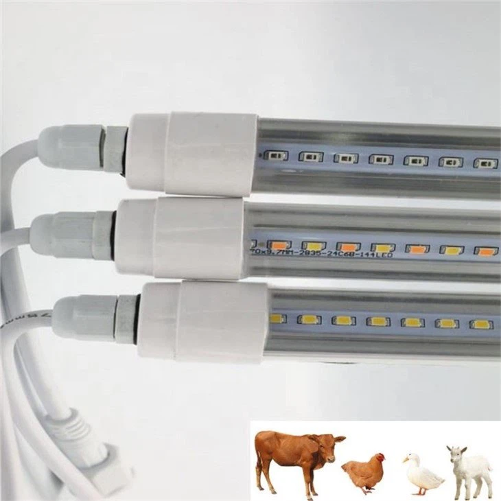 chicken lights for coop