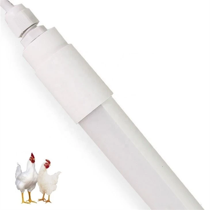 Chicken Coop Light And Timer