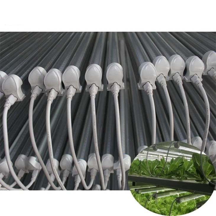full spectrum led grow lights