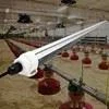 led tube
