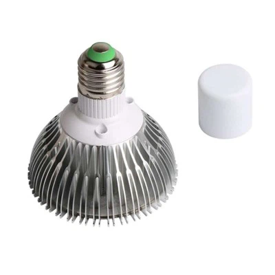 Bylbiau ar gyfer Planhigion Dan Do