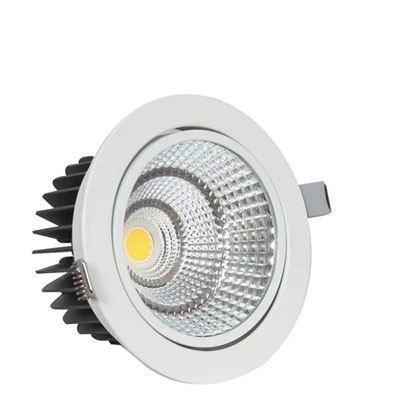 Downlight Led COB 30w