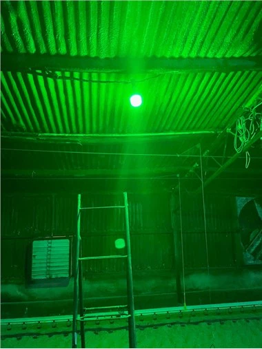 Bwlb Dimmable LED E27 IP65