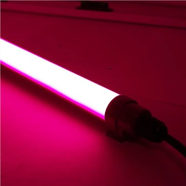 Golau Dan Arweiniad Coch Ar gyfer Dofednod