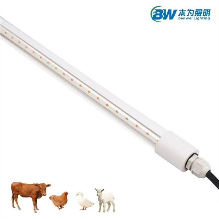 18w Chicken Coop Light 4000k
