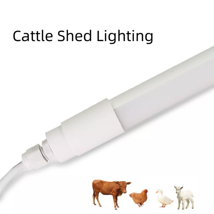 18w Lights For Chicken House
