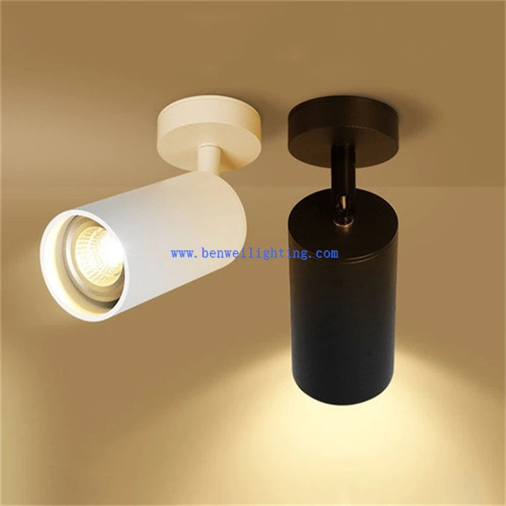 Black Track Light (2)