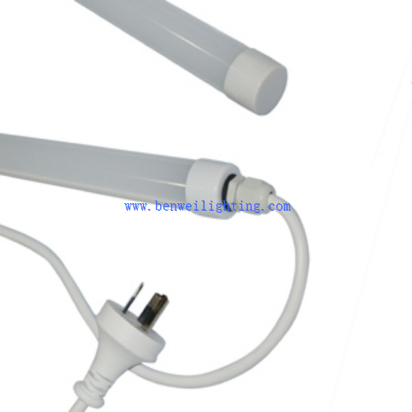 Broiler Rearing Light (1)