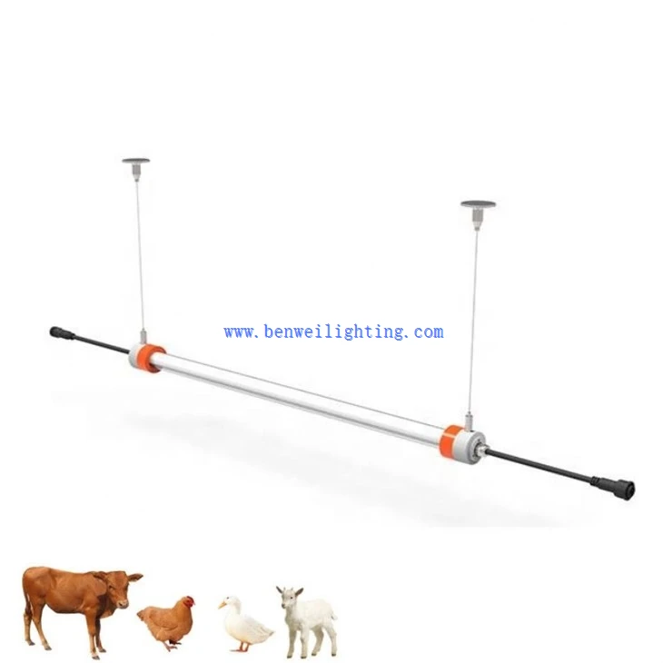 Chicken Light With 0-10V 3500K 15W 20W
