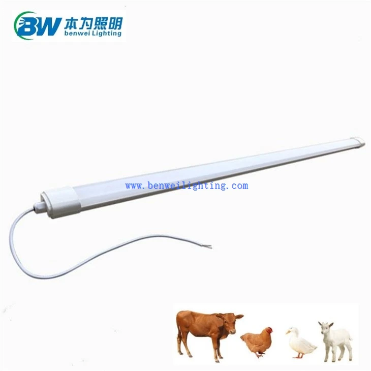 Chicken Light With 0-10V 3500K 15W 20W