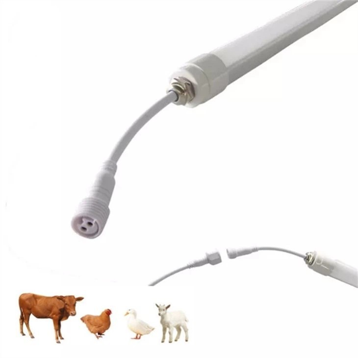 Cow Barn Poultry Light