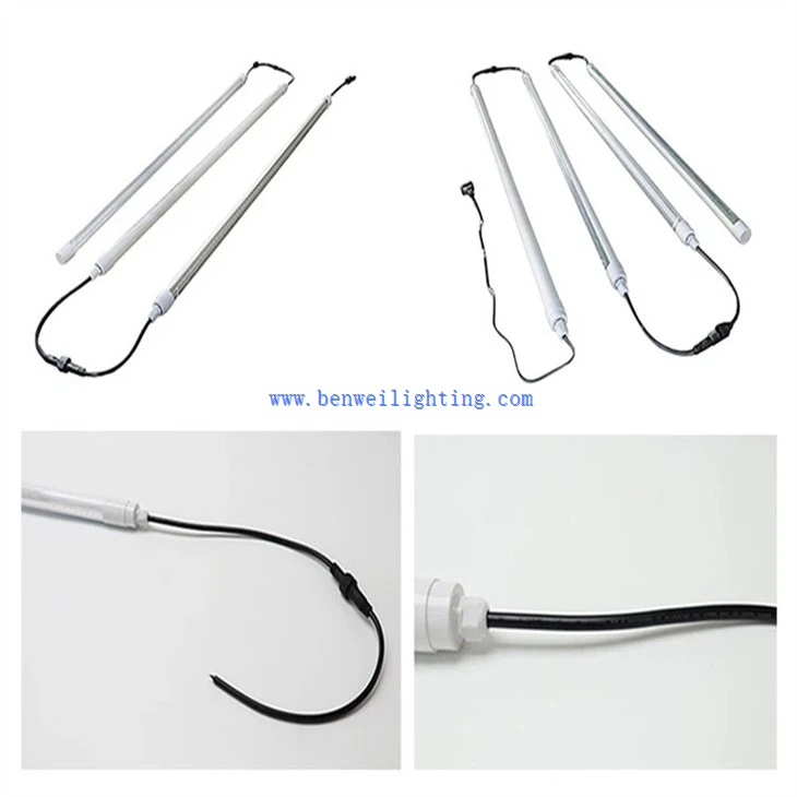 Egg Laying Poultry Light (4)