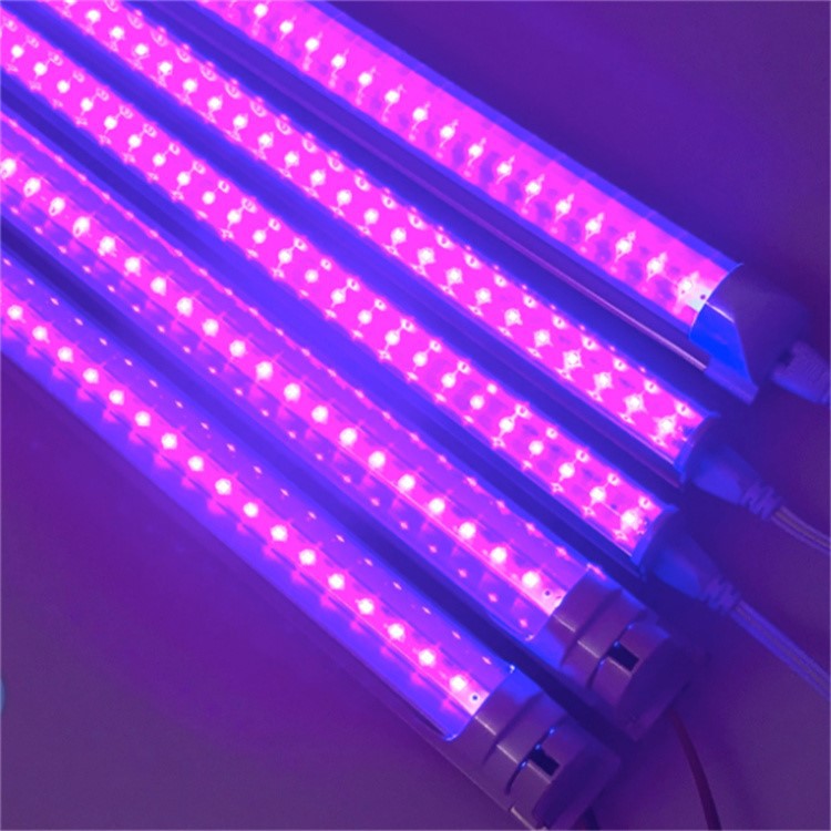 Antibacterial uv light