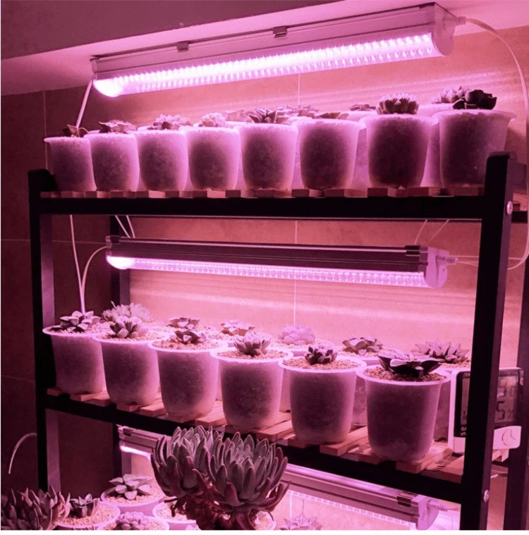 Grow T8A41 Grow T8A41