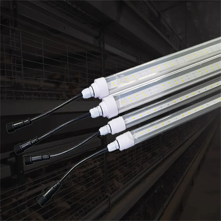 Hatchery Light 5