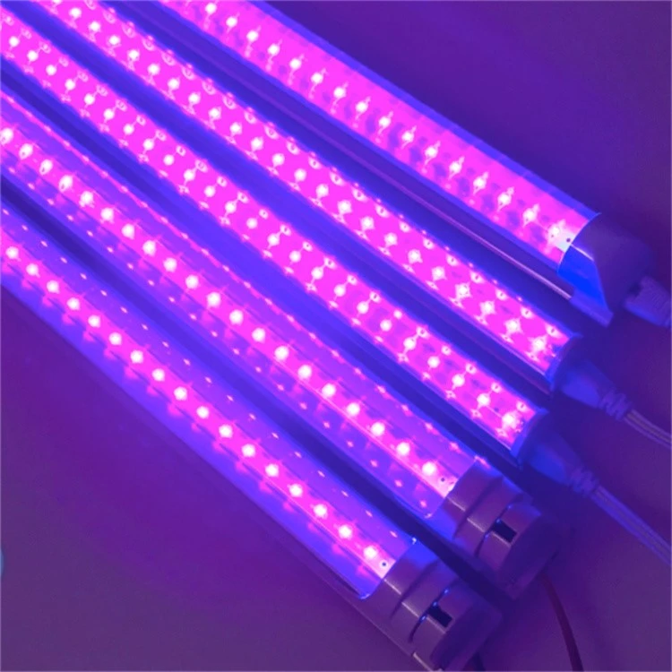 Deodorization lamp 2