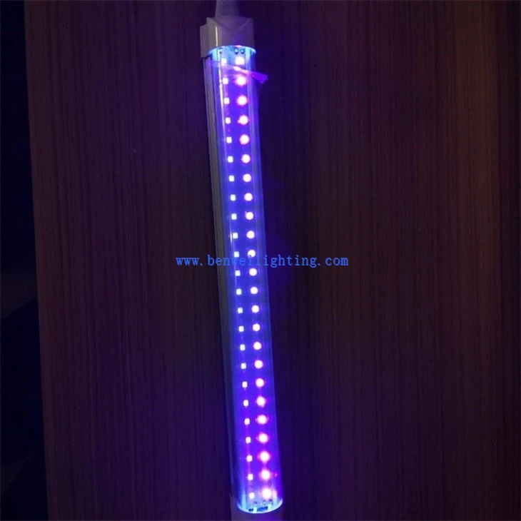 Insect trap light  (5)