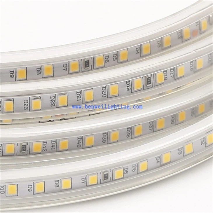 LED Neon Light Strip (1)