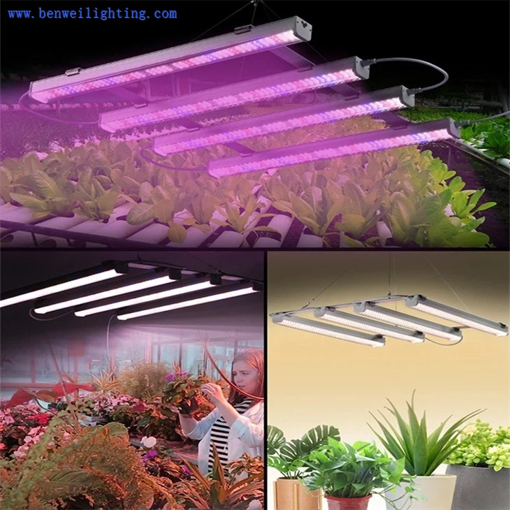 full spectrum grow lights