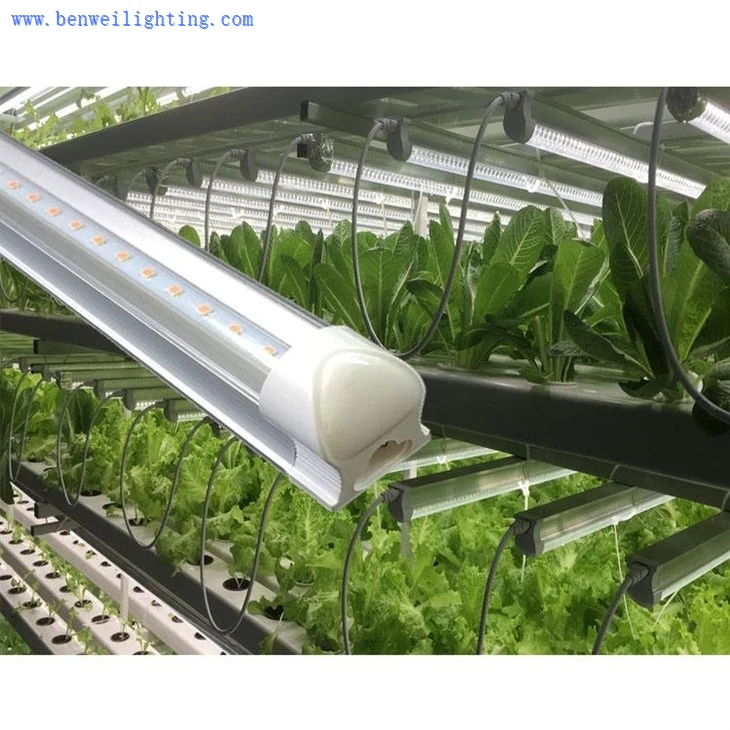 grow lights for plants