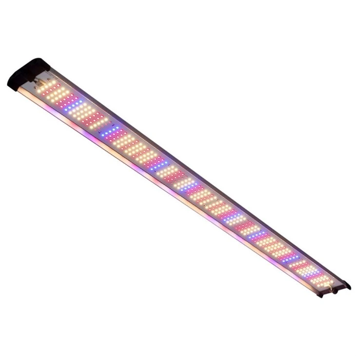 Red And Blue LED Grow Lights