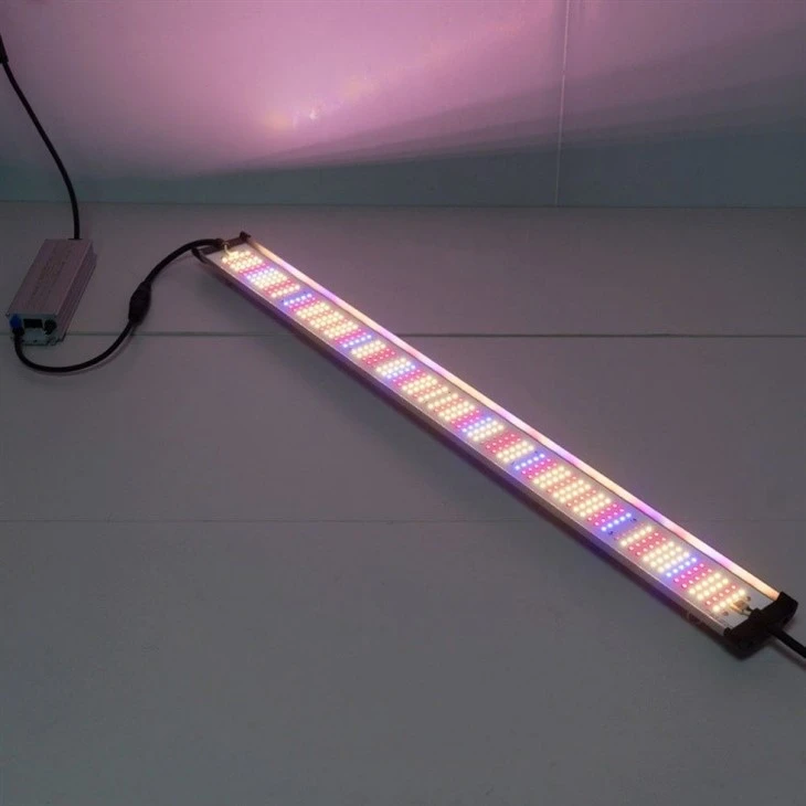 Red And Blue LED Grow Lights best