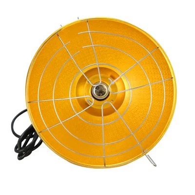 5 Mlynedd Goleuni Dofednod