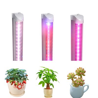 Sbectrwm Llawn Ar gyfer Planhigion Tŷ Gwydr Tyfu Golau LED