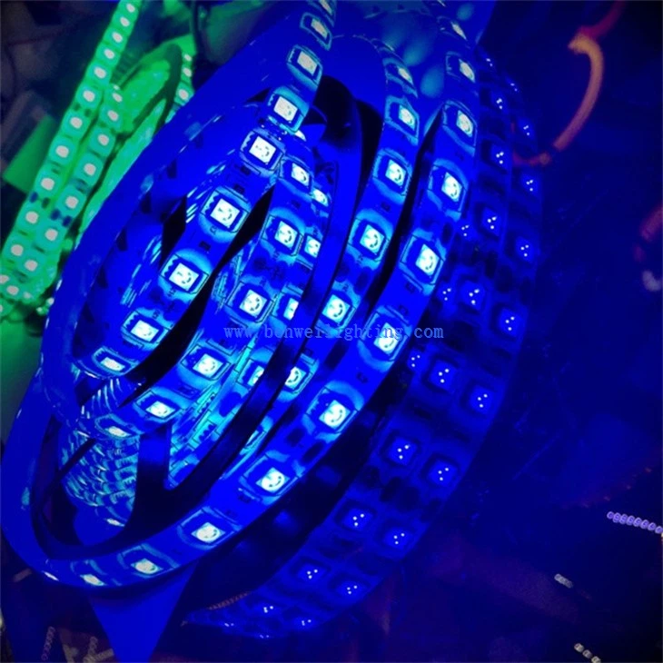 Strip Light With Christmas Decoration (5)